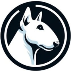 Bull Token